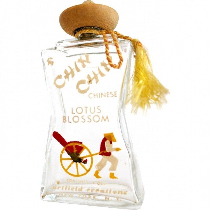 Chin Chin - Chinese Lotus Blossom